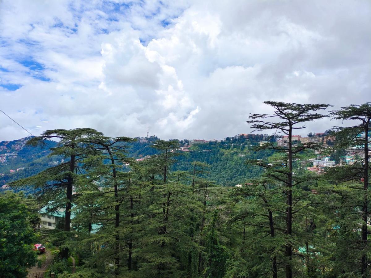 Magic Stays - Shimla Royale - Free Pickup From Railway Station Shimla Exteriör bild