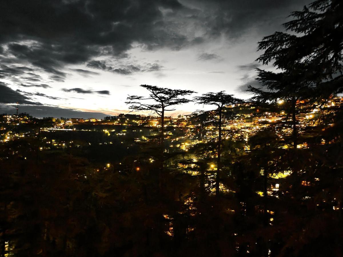 Magic Stays - Shimla Royale - Free Pickup From Railway Station Shimla Exteriör bild